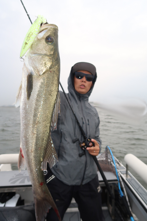 sketch-1602084442736