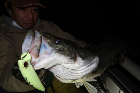 20211103221103_IMG_7284