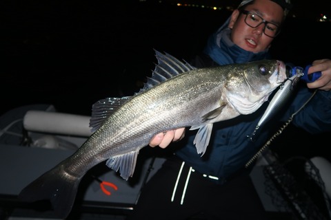 20201015032755_IMG_0573