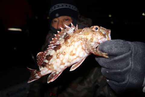 20200127060359_IMG_7321