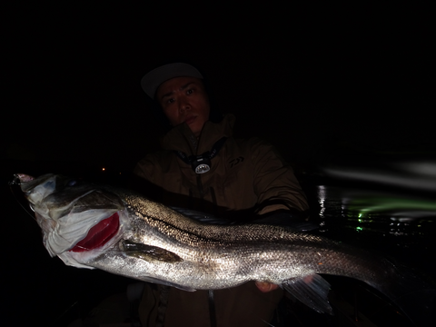 sketch-1557861728061