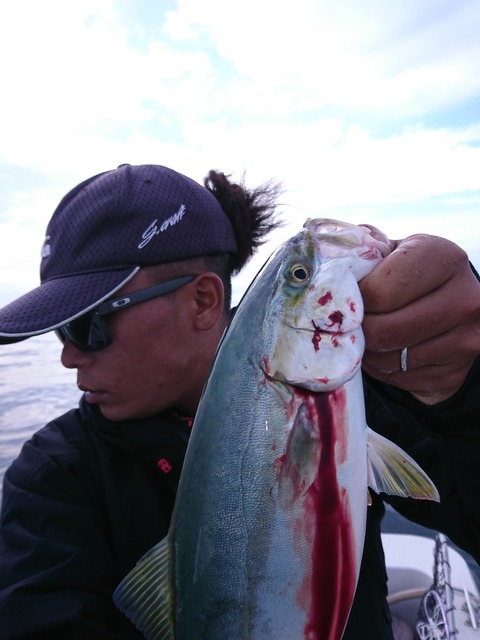 [画像:470451c8-s.jpg]