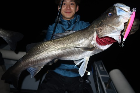 20240406205457_IMG_0866