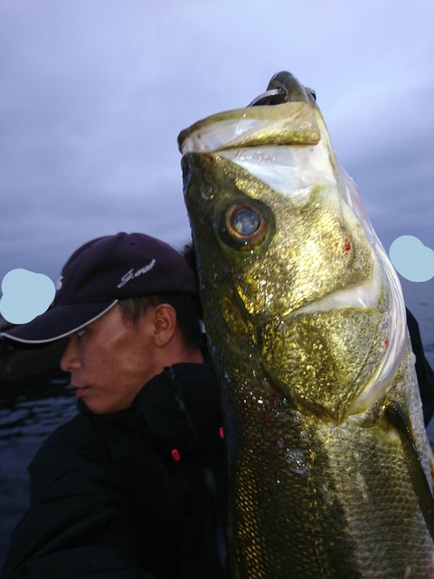 [画像:4a907556-s.jpg]