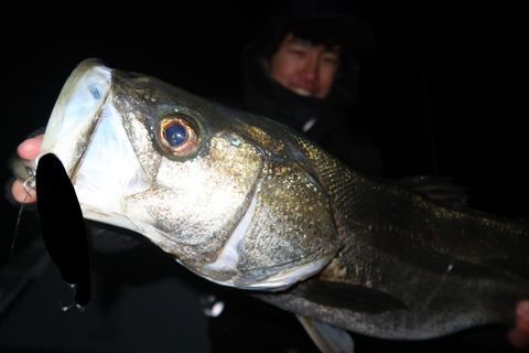 sketch-1671234091553