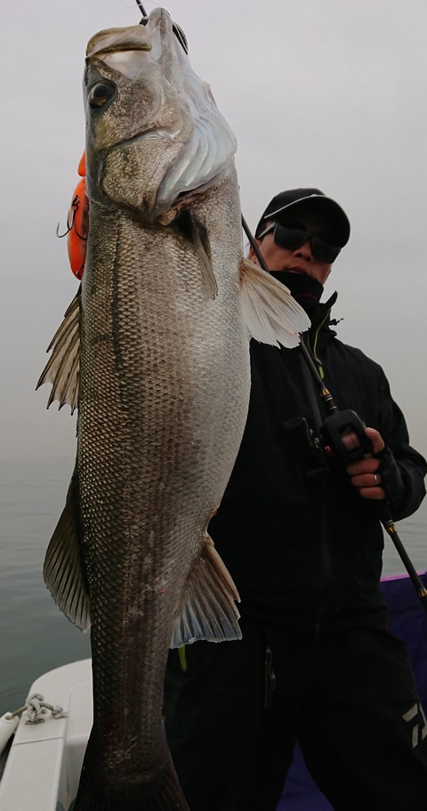 [画像:4b5e72d3-s.jpg]