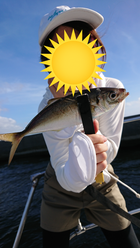 sketch-1535341599539