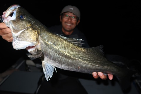 20231026225826_IMG_8207