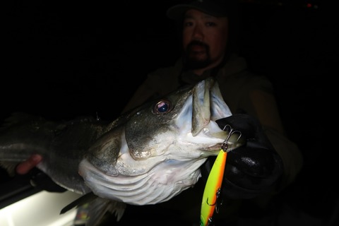 20200125234025_IMG_7273