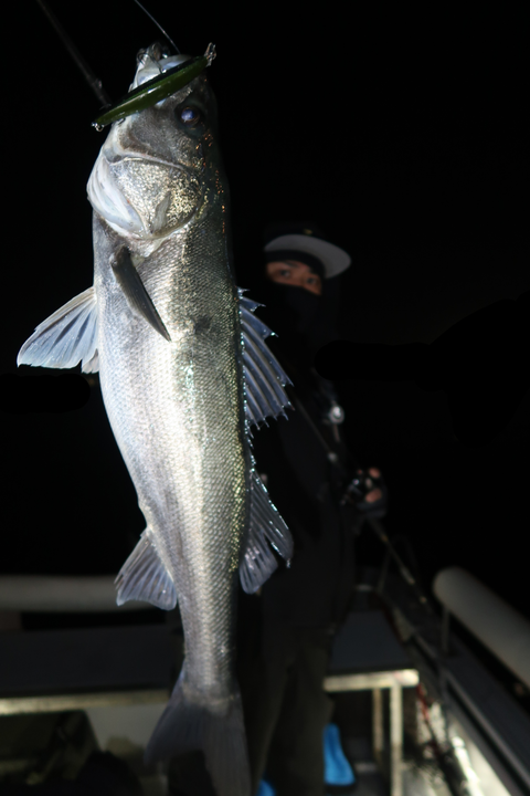 sketch-1645716570416