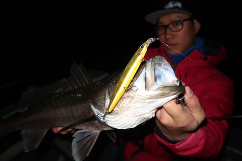 20200213213033_IMG_7482