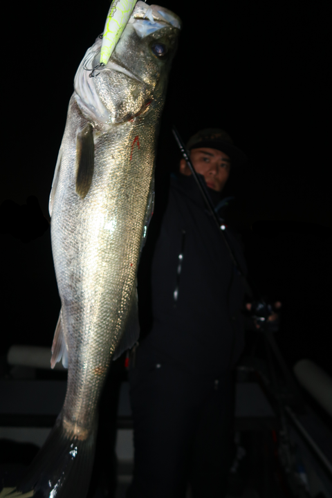 sketch-1667762694690