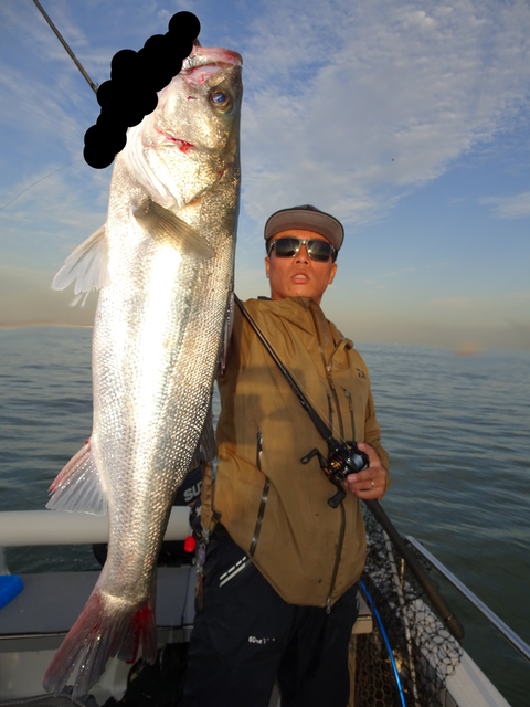 sketch-1572448457725