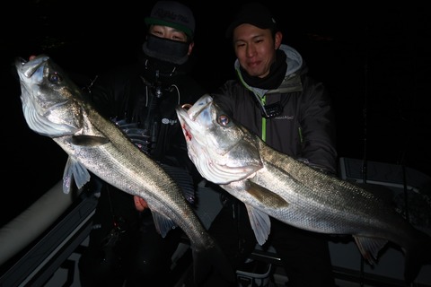 20221223212126_IMG_4258