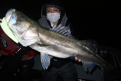 20221115003847_IMG_3321