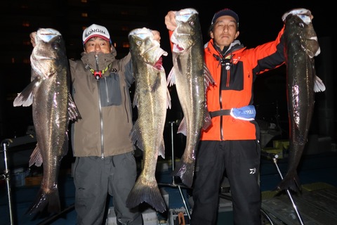 20221109022436_IMG_3088