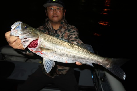 20201003204637_IMG_0342