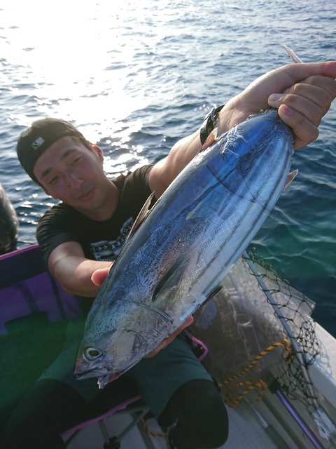 [画像:506f95ad-s.jpg]