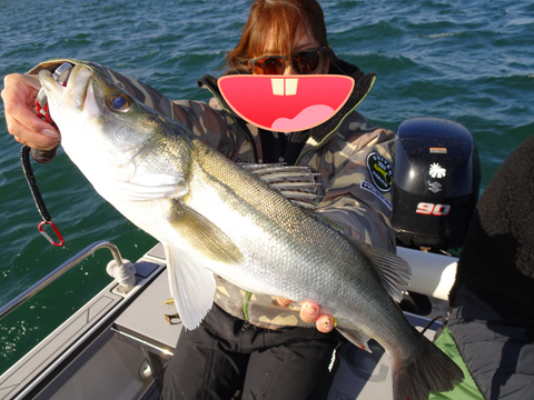 sketch-1575119362594