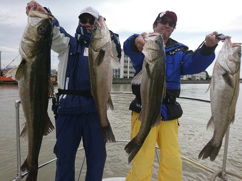 [画像:5174d789-s.jpg]