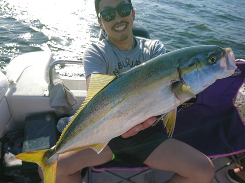 [画像:51915855-s.jpg]