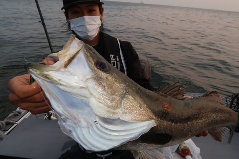 20200503053218_IMG_8700