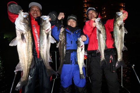 20200325201827_IMG_8138