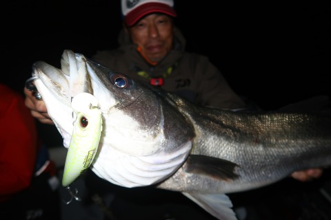 20221108231058_IMG_3077