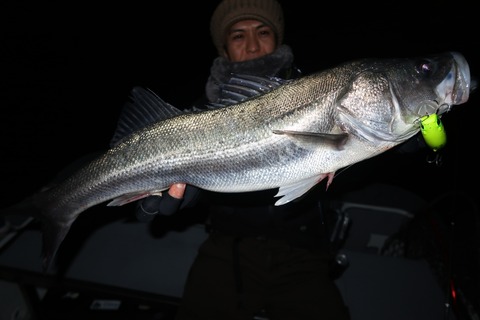 20221213231108_IMG_4112