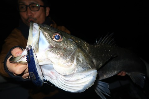 20221106202602_IMG_3033