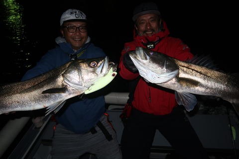 20231123183414_IMG_8657