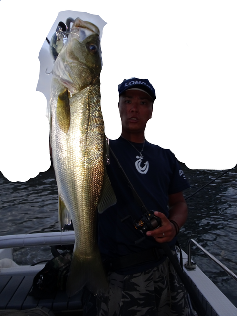 sketch-1565679740248