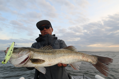 sketch-1601375354084