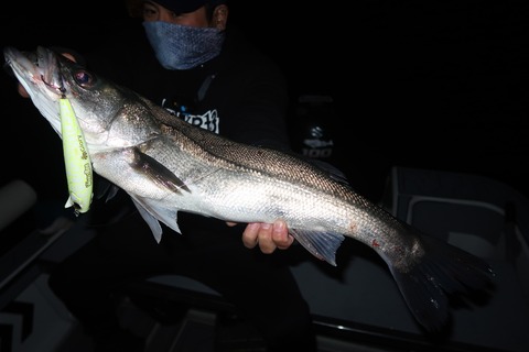 20221106214643_IMG_3035