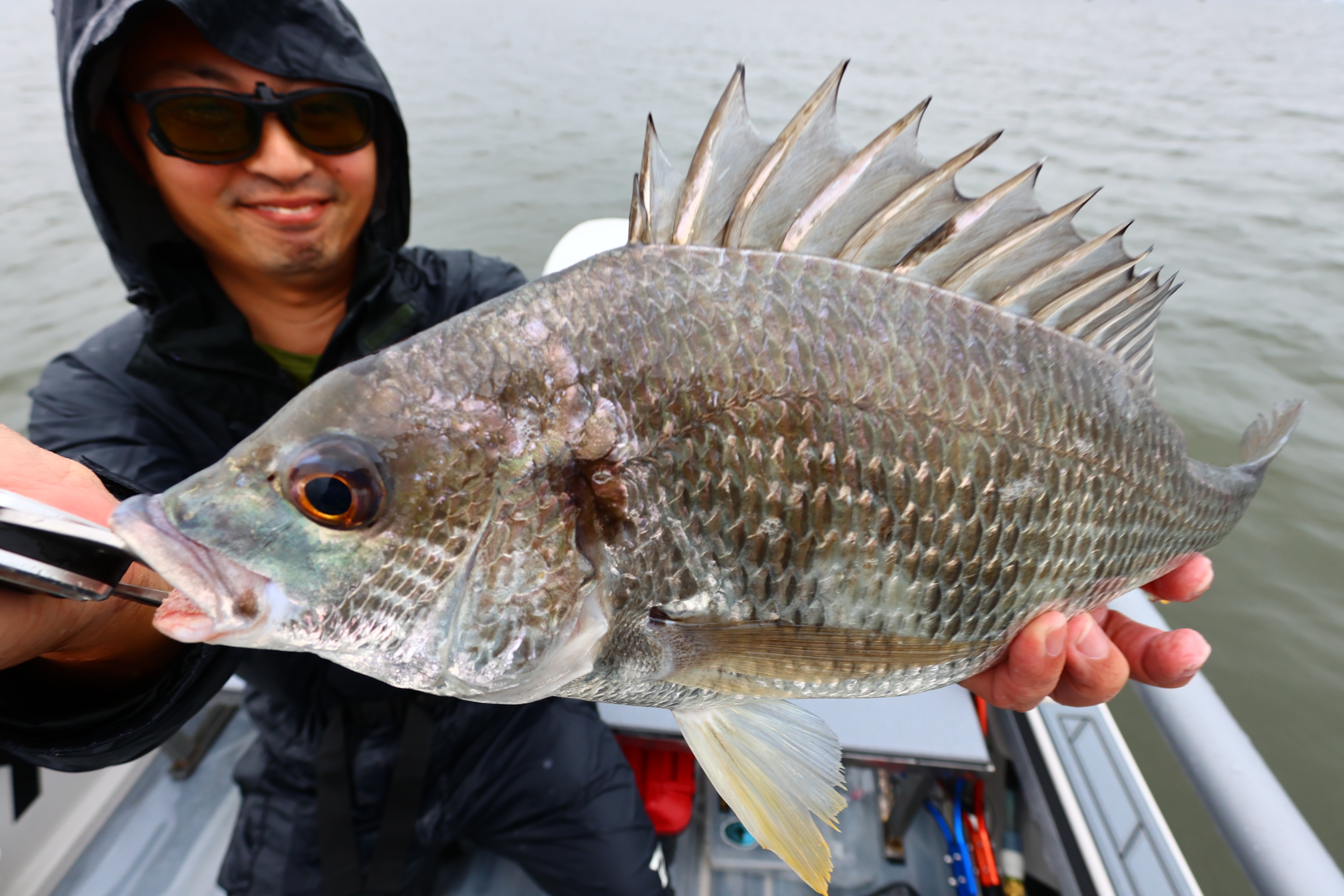 6月20日釣果情報！！ : TOKYOBAY FISHING GUIDE SERVICE Glory