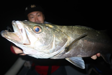 20240427211300_IMG_1300