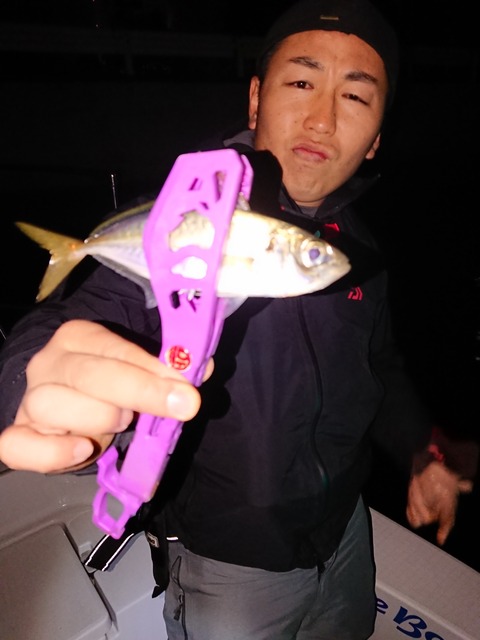 [画像:56012463-s.jpg]