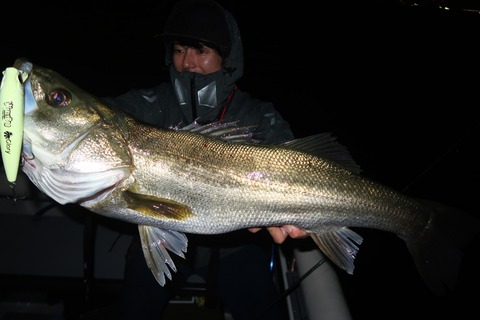 20231114222535_IMG_8498