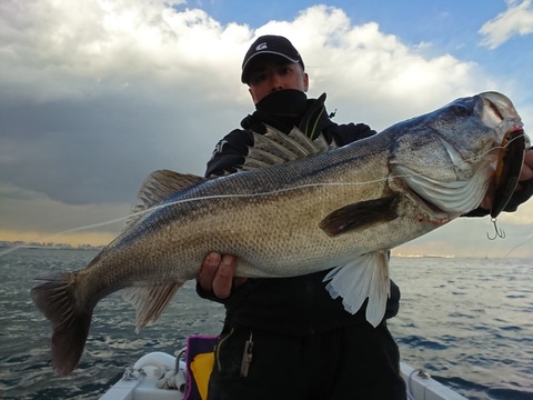 [画像:56d16473-s.jpg]