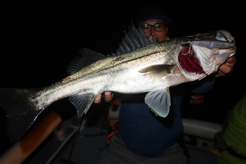 20231230192146_IMG_9469