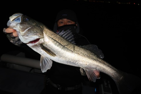 20200314232434_IMG_7976