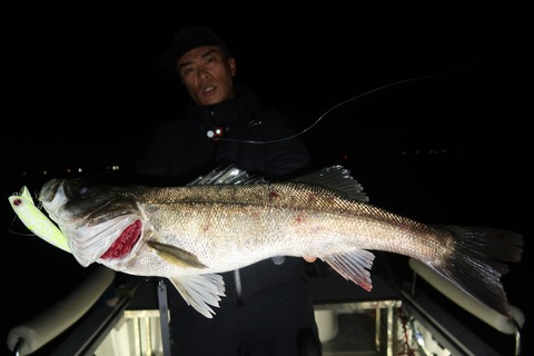 20221024024055_IMG_2687