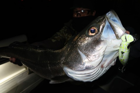 20211212015025_IMG_8517