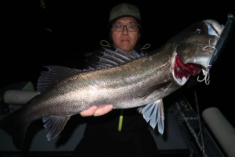 20240107005802_IMG_9556