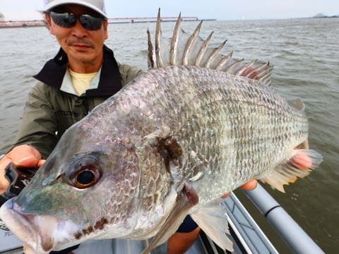 IMG_3078(1)