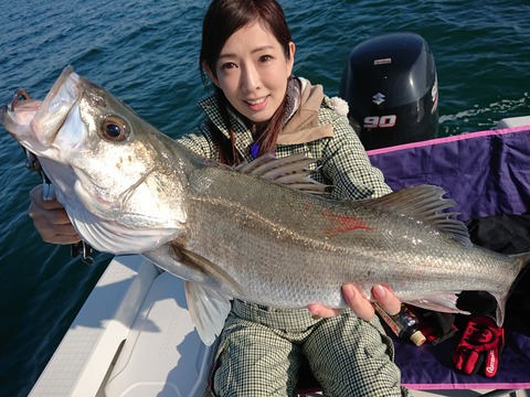 [画像:58e23812-s.jpg]