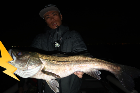 sketch-1617468221892