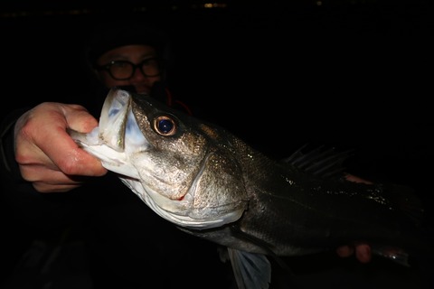 20200315003531_IMG_7980