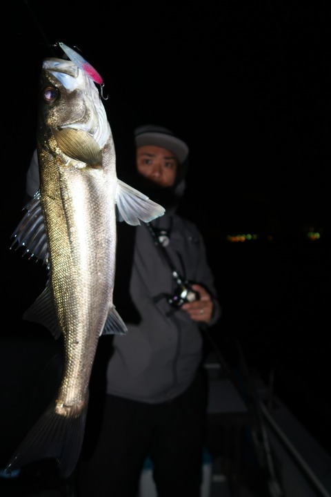 20200425203851_IMG_8551