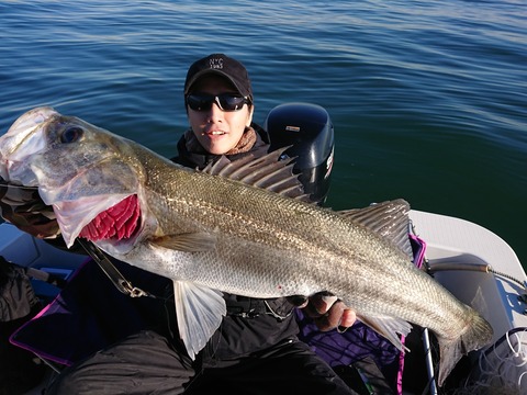 [画像:5a284f8d-s.jpg]